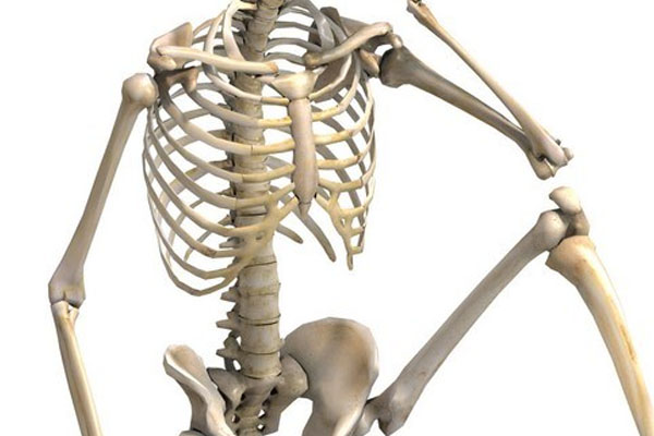 17-19th December: Osteoporosis Solutions comes to QPMC